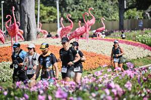 BIB: 
                            <button type="button" onclick="openModal(27794297)" class="btn btn-primary btn-sm float-right btn-popup" data-toggle="modal" data-target=".modal-high-quality">
                        <i class="fas fa-shopping-cart"></i> Add to Cart
                    </button>
                                            <button type="button" onclick="isThisMe(27794297, true)" class="btn btn-success btn-sm float-right btn-popup btn-isme hidden" data-toggle="tooltip" data-placement="bottom" title="นี่คือรูปของคุณใช่ไหม คลิกที่นี่เพื่อเอาเข้าอัลบั้ม">
                        <i class="fas fa-plus"></i> Add to album
                    </button>
                    <button type="button" onclick="isThisMe(27794297, false)" class="btn btn-warning btn-sm float-right btn-popup btn-isnotme hidden">
                        <i class="fas fa-ban"></i> Remove from album
                    </button>